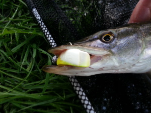 pike lures